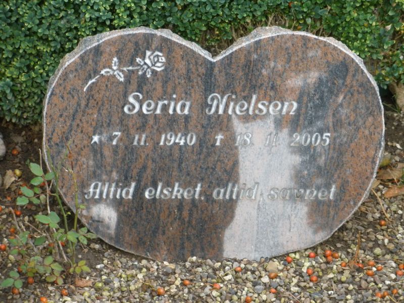 Seria Nielsen.JPG